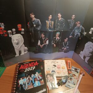 AGENDA STRAY KIDS THIS & THAT